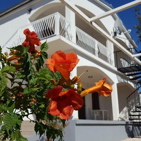 Apartments Merion Starigrad Paklenica Dış mekan fotoğraf