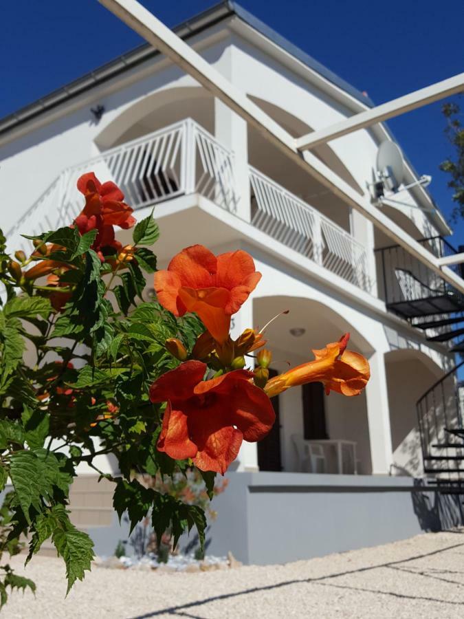 Apartments Merion Starigrad Paklenica Dış mekan fotoğraf